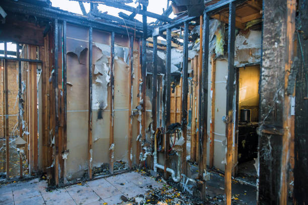 Professional Fire Damage Assessment technician working in West Bountiful, UT